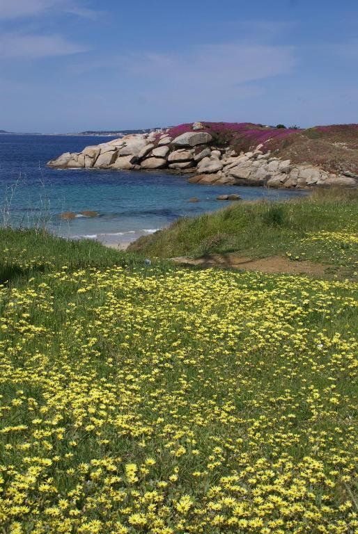 Hotel Pipo Sanxenxo Εξωτερικό φωτογραφία